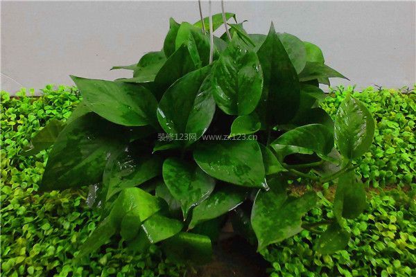 房屋裝修后除甲醛