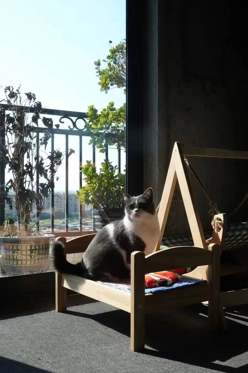 我為什么住進毛坯房？